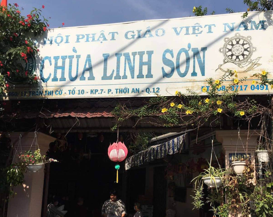 COZY Mang Tết Ấm No Đến Cho Các Em Nhỏ Tại Chùa Linh Sơn
