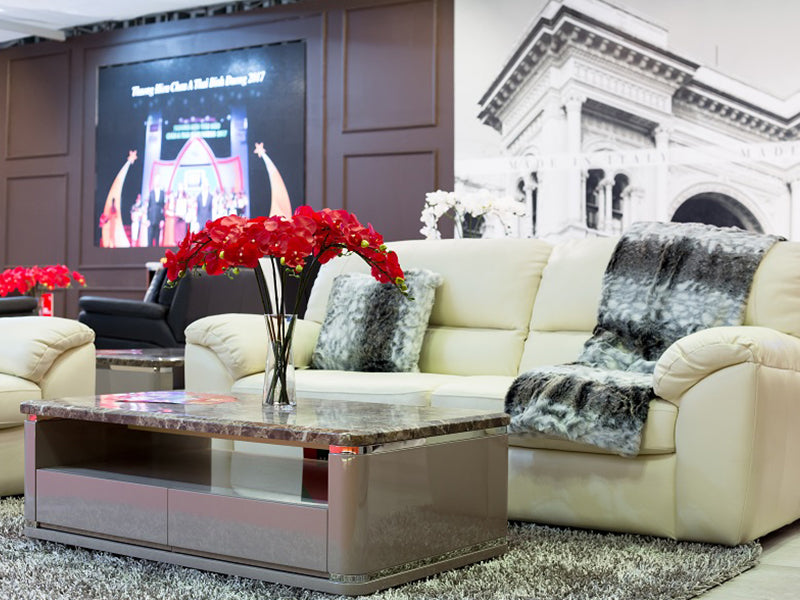 Bạn cần biết những gì khi mua sofa ở TPHCM?