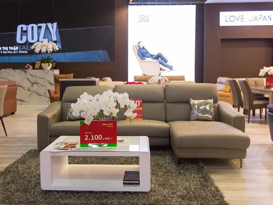 Mua sofa da ở đâu tại TP.HCM khi thiết kế nội thất phòng khách