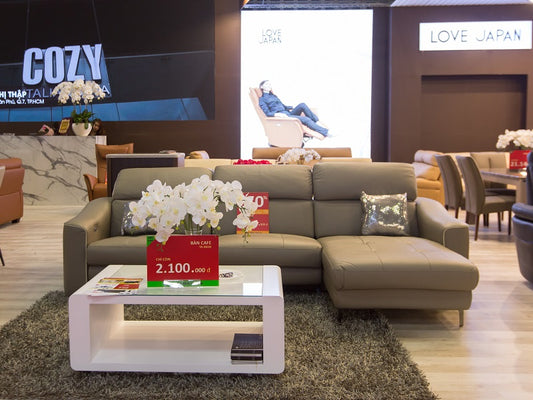 Nguyên tắc vàng cần chú ý khi mua sofa cho phòng khách nhỏ
