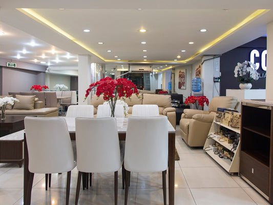 Mua ghế tựa lưng đẹp và chất lượng tại COZY