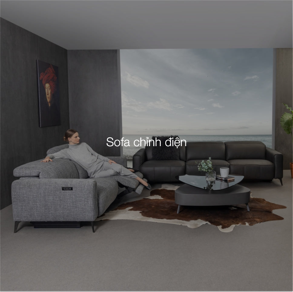 Sofa Chỉnh Điện